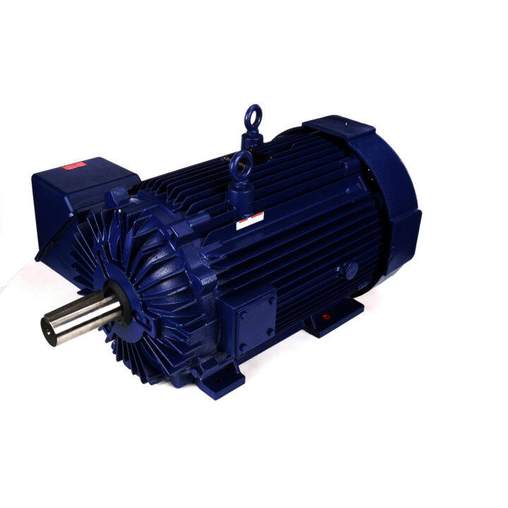 Severe Duty Motor, 250 HP, 3 Ph, 60 Hz, 460 V, 1800 RPM, 449T Frame, TEFC