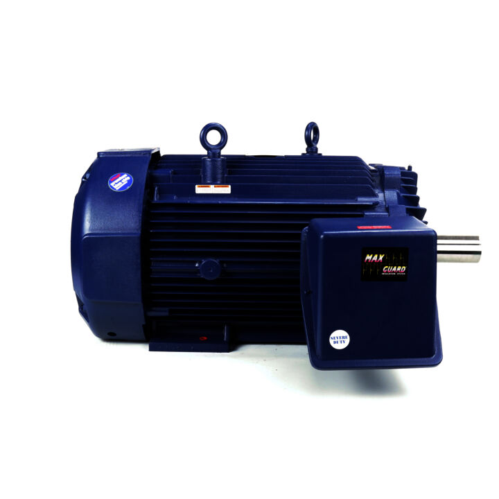 Severe Duty Motor, 200 HP, 3 Ph, 60 Hz, 460 V, 1200 RPM, 449T Frame, TEFC