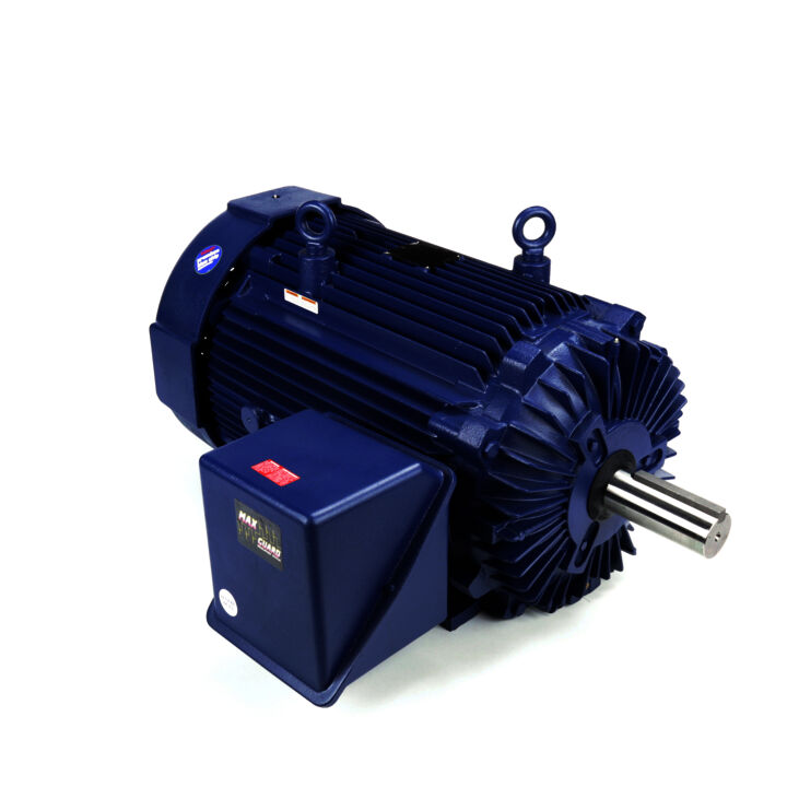 Severe Duty Motor, 200 HP, 3 Ph, 60 Hz, 460 V, 1200 RPM, 449T Frame, TEFC