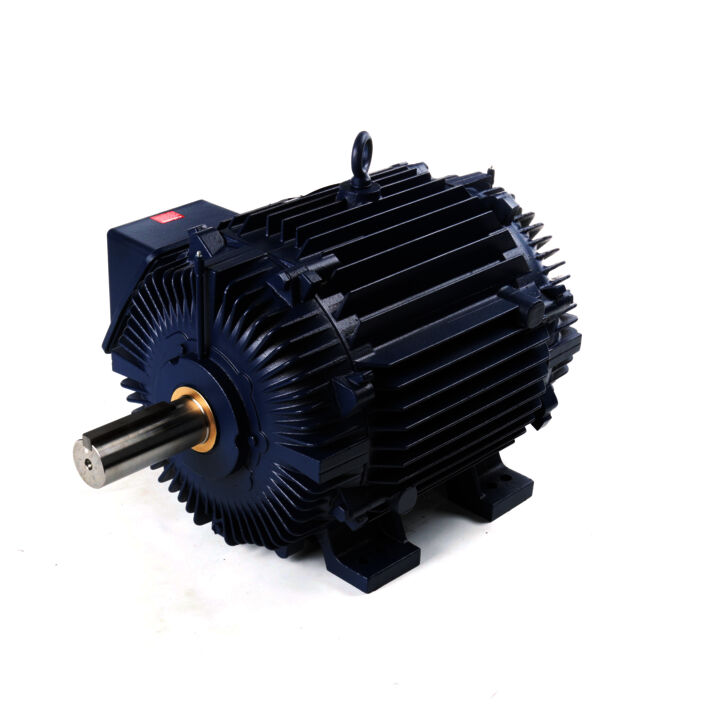 Severe Duty Motor, 100 HP, 3 Ph, 60 Hz, 230/460 V, 1800 RPM, 405T Frame, TEAO