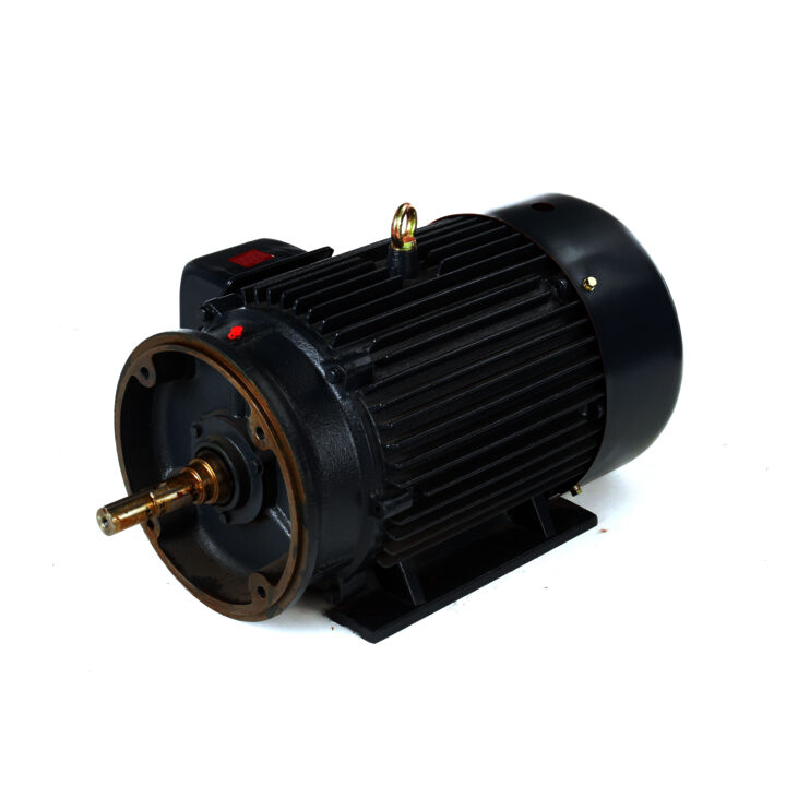 Close-Coupled Pump Motor, 25 HP, 3 Ph, 60 Hz, 575 V, 3600 RPM, 284JM Frame, TEFC