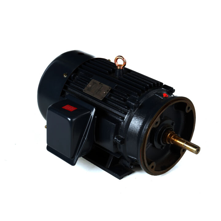 Close-Coupled Pump Motor, 25 HP, 3 Ph, 60 Hz, 575 V, 3600 RPM, 284JM Frame, TEFC