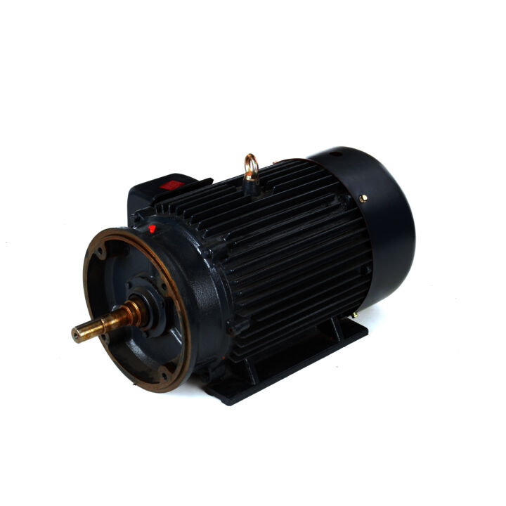 Close-Coupled Pump Motor, 30 HP, 3 Ph, 60 Hz, 575 V, 3600 RPM, 286JM Frame, TEFC