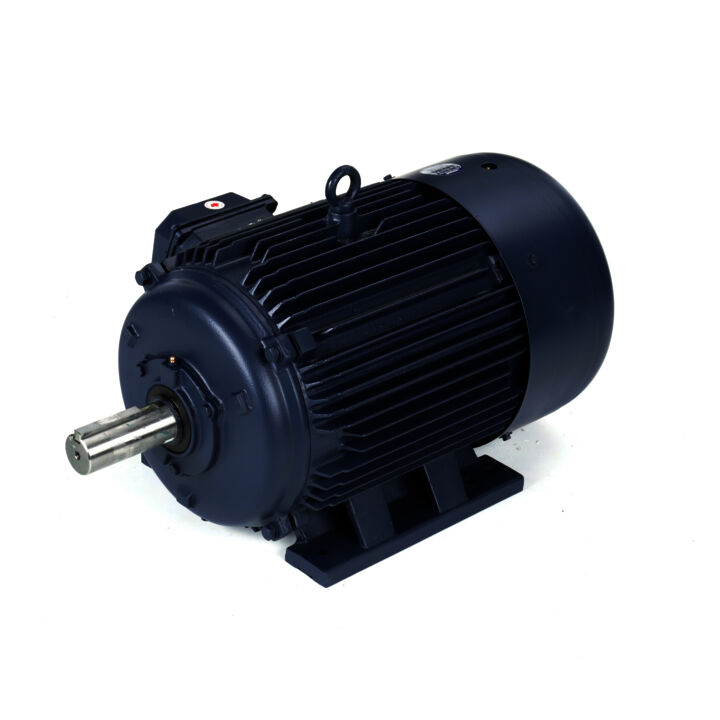 General Purpose Motor, 15 HP, 3 Ph, 60 Hz, 208-230/460 V, 900 RPM, 286T Frame, TEFC
