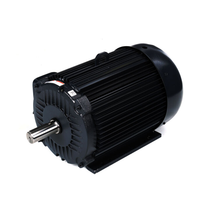 General Purpose Motor, 30 & 25 HP, 3 Ph, 60 & 50 Hz, 230/460 & 190-208/380-415 V, 1800 & 1500 RPM, 286T Frame, TEFC