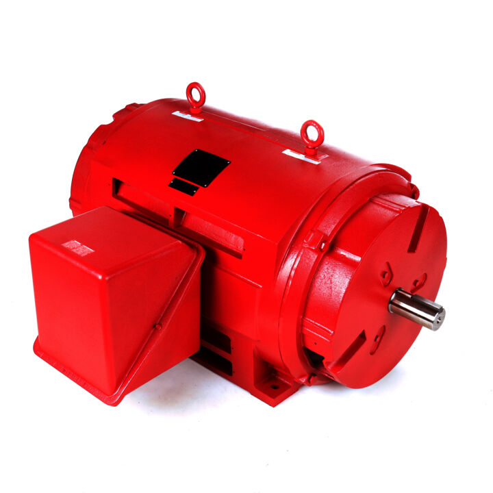 Fire Pump Motor, 450 & 400 HP, 3 Ph, 60 & 50 Hz, 460 & 380 V, 1800 & 1500 RPM, 449TS Frame, DP