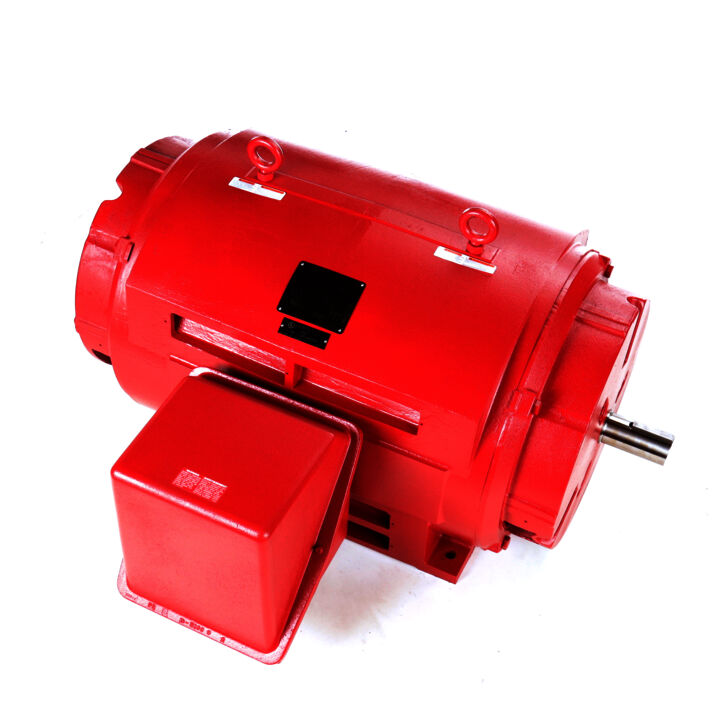 Fire Pump Motor, 450 & 400 HP, 3 Ph, 60 & 50 Hz, 460 & 380 V, 1800 & 1500 RPM, 449TS Frame, DP