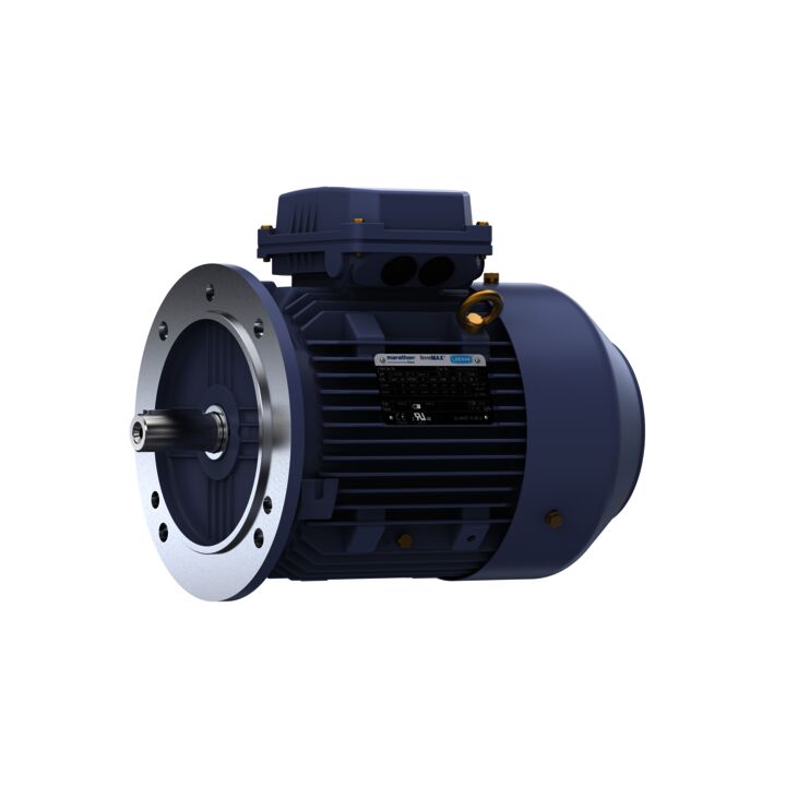 Cast Iron Motor, 4 & 3 HP, 3 Ph, 60 & 50 Hz, 230/460 & 200/400 V, 1800 & 1500 RPM, 100L Frame, TEFC