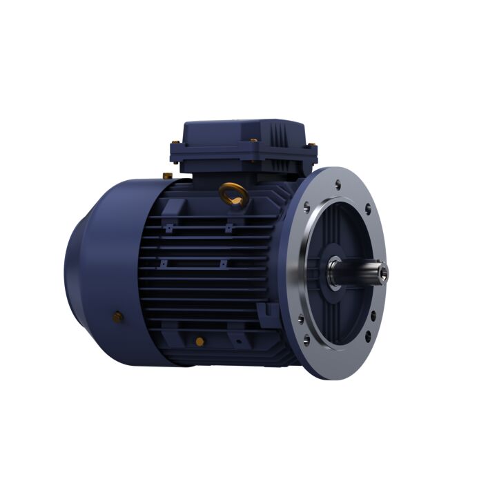 Cast Iron Motor, 4 & 3 HP, 3 Ph, 60 & 50 Hz, 230/460 & 200/400 V, 1800 & 1500 RPM, 100L Frame, TEFC