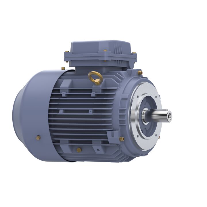 Cast Iron Motor, 4 & 3 HP, 3 Ph, 60 & 50 Hz, 230/460 & 200/400 V, 1800 & 1500 RPM, 100L Frame, TEFC