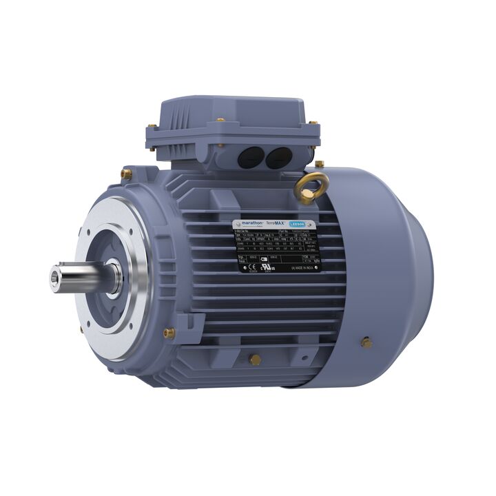 Cast Iron Motor, 4 & 3 HP, 3 Ph, 60 & 50 Hz, 230/460 & 200/400 V, 1800 & 1500 RPM, 100L Frame, TEFC