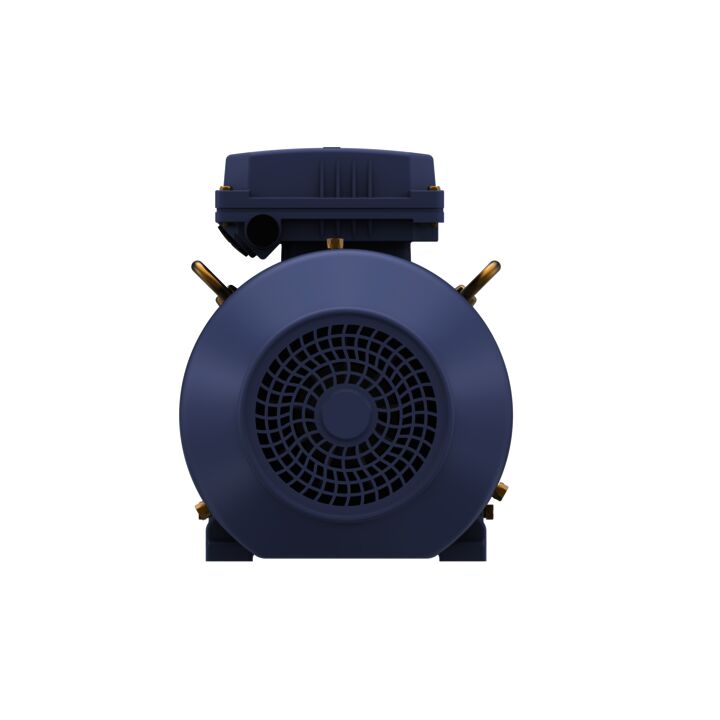 Cast Iron Motor, 4 & 3 HP, 3 Ph, 60 & 50 Hz, 230/460 & 200/400 V, 1800 & 1500 RPM, 100L Frame, TEFC