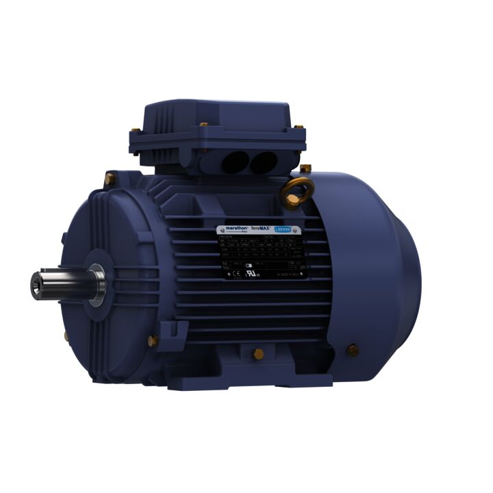 Cast Iron Motor, 4 & 3 HP, 3 Ph, 60 & 50 Hz, 230/460 & 200/400 V, 1800 & 1500 RPM, 100L Frame, TEFC