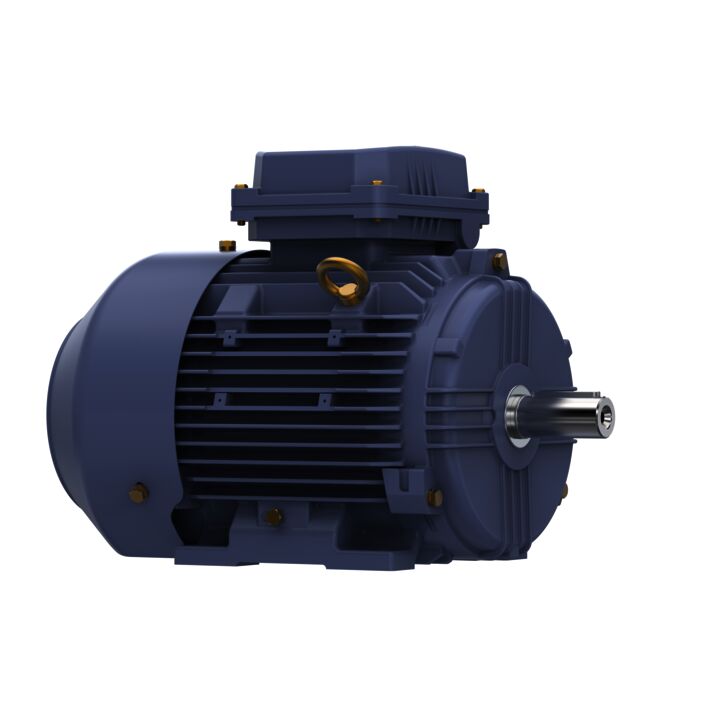 Cast Iron Motor, 4 & 3 HP, 3 Ph, 60 & 50 Hz, 230/460 & 200/400 V, 1800 & 1500 RPM, 100L Frame, TEFC