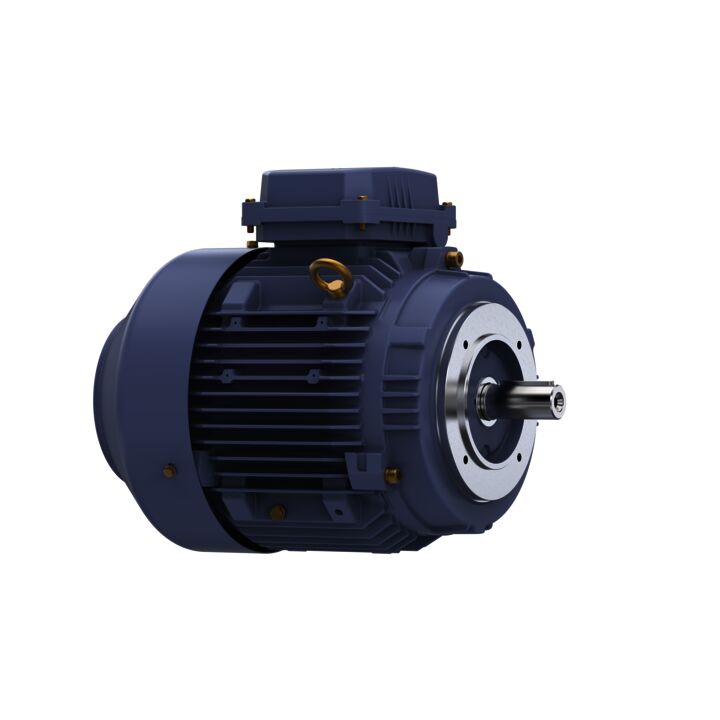 Cast Iron Motor, 5.50 & 4 HP, 3 Ph, 60 & 50 Hz, 230/460 & 200/400 V, 1800 & 1500 RPM, 112M Frame, TEFC