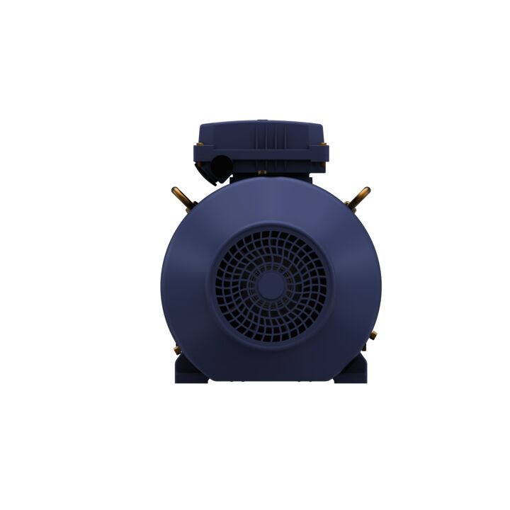 Cast Iron Motor, 5.50 HP, 3 Ph, 60 Hz, 575 V, 1800 RPM, 112M Frame, TEFC