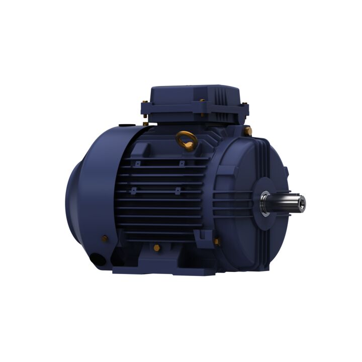 Cast Iron Motor, 5.50 HP, 3 Ph, 60 Hz, 575 V, 1800 RPM, 112M Frame, TEFC