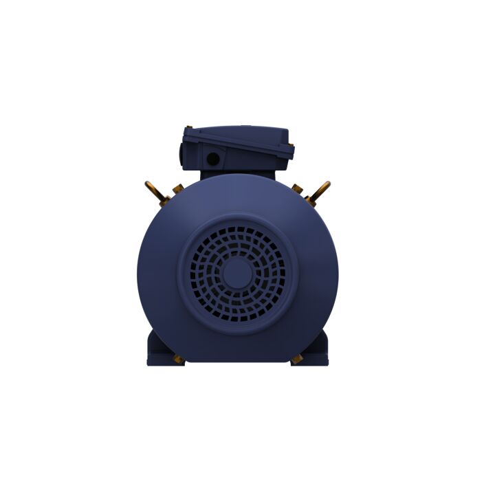 Cast Iron Motor, 20 & 15 HP, 3 Ph, 60 & 50 Hz, 230/460 & 200/400 V, 1800 & 1500 RPM, 160L Frame, TEFC