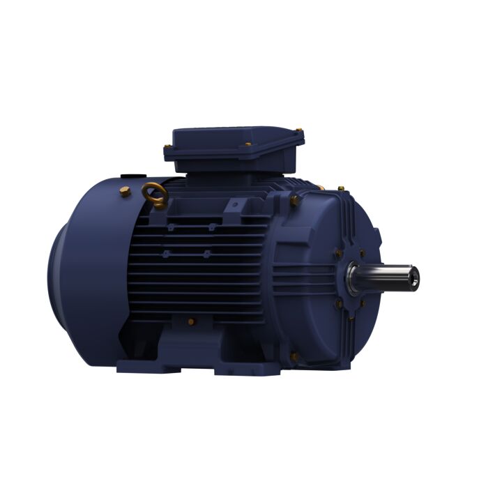 Cast Iron Motor, 20 & 15 HP, 3 Ph, 60 & 50 Hz, 230/460 & 200/400 V, 1800 & 1500 RPM, 160L Frame, TEFC