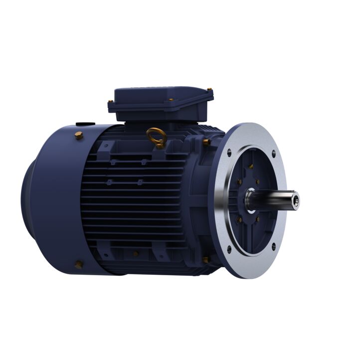 Cast Iron Motor, 20 & 15 HP, 3 Ph, 60 & 50 Hz, 230/460 & 200/400 V, 1800 & 1500 RPM, 160L Frame, TEFC