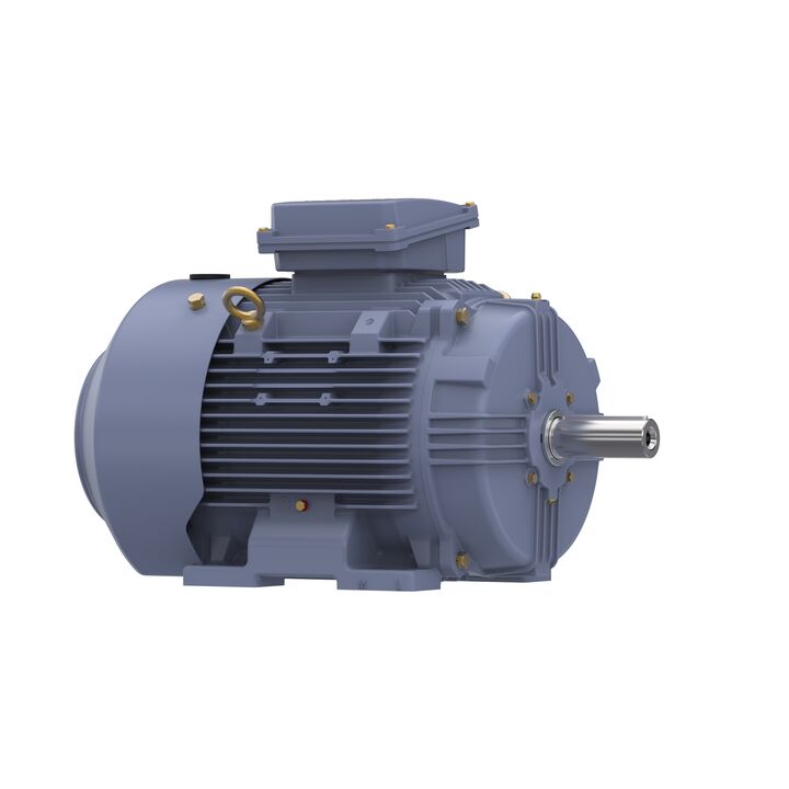 Cast Iron Motor, 20 HP, 3 Ph, 60 Hz, 575 V, 1800 RPM, 160L Frame, TEFC