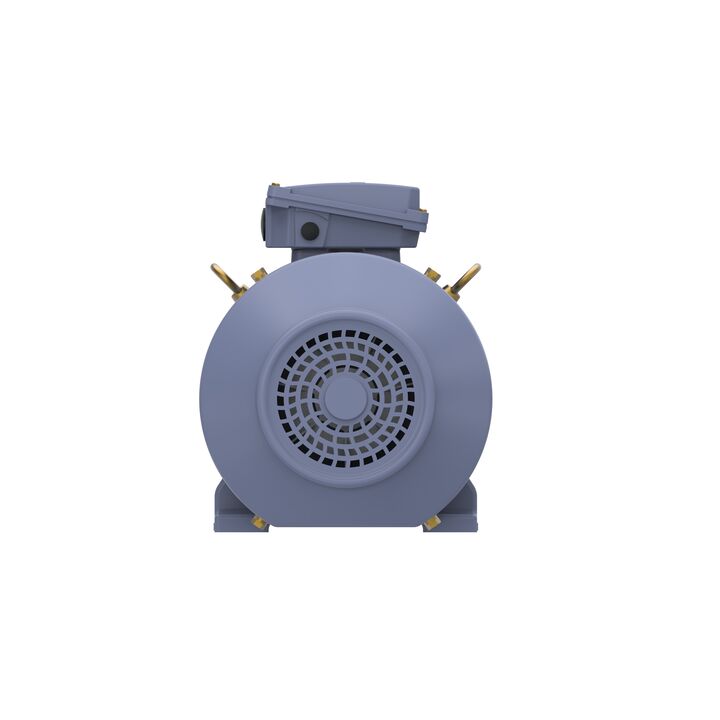 Cast Iron Motor, 20 HP, 3 Ph, 60 Hz, 575 V, 1800 RPM, 160L Frame, TEFC