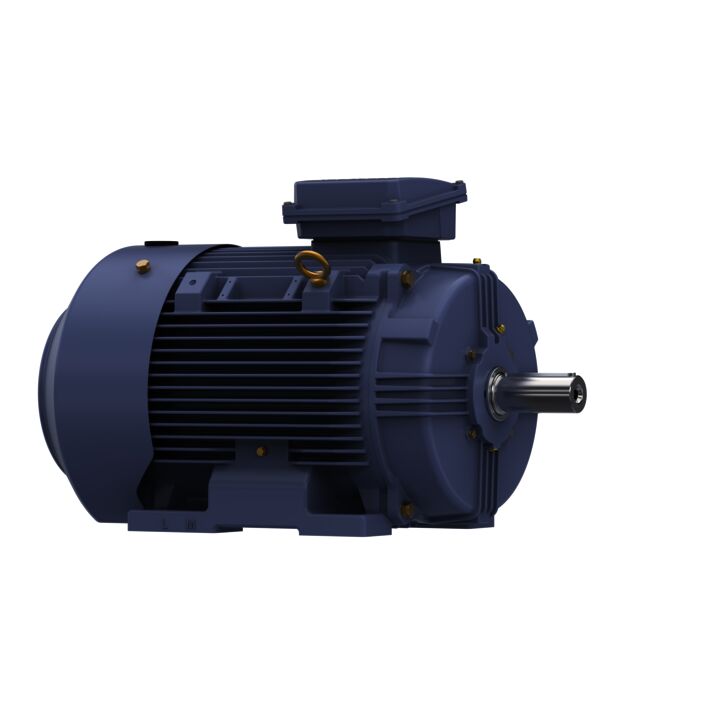 Cast Iron Motor, 30 & 25 HP, 3 Ph, 60 & 50 Hz, 230/460 & 200/400 V, 1800 & 1500 RPM, 180L Frame, TEFC