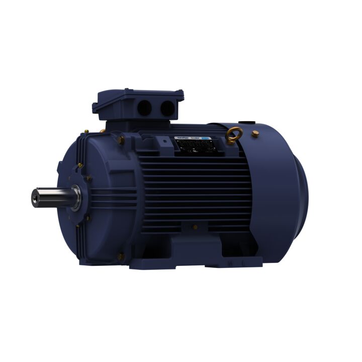 Cast Iron Motor, 30 & 25 HP, 3 Ph, 60 & 50 Hz, 230/460 & 200/400 V, 1800 & 1500 RPM, 180L Frame, TEFC