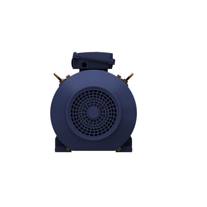 Cast Iron Motor, 30 & 25 HP, 3 Ph, 60 & 50 Hz, 230/460 & 200/400 V, 1800 & 1500 RPM, 180L Frame, TEFC