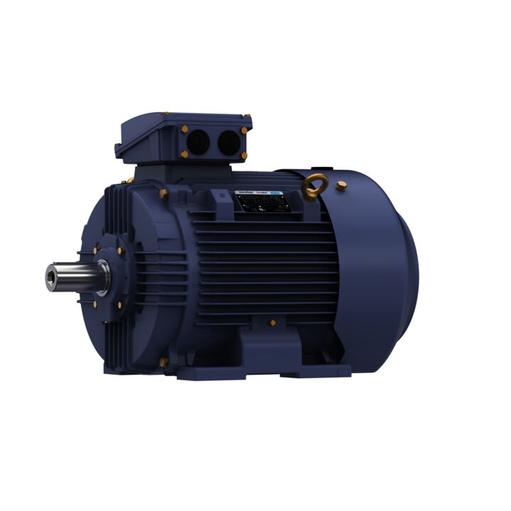 Cast Iron Motor, 40 & 30 HP, 3 Ph, 60 & 50 Hz, 230/460 & 200/400 V, 1800 & 1500 RPM, 200L Frame, TEFC