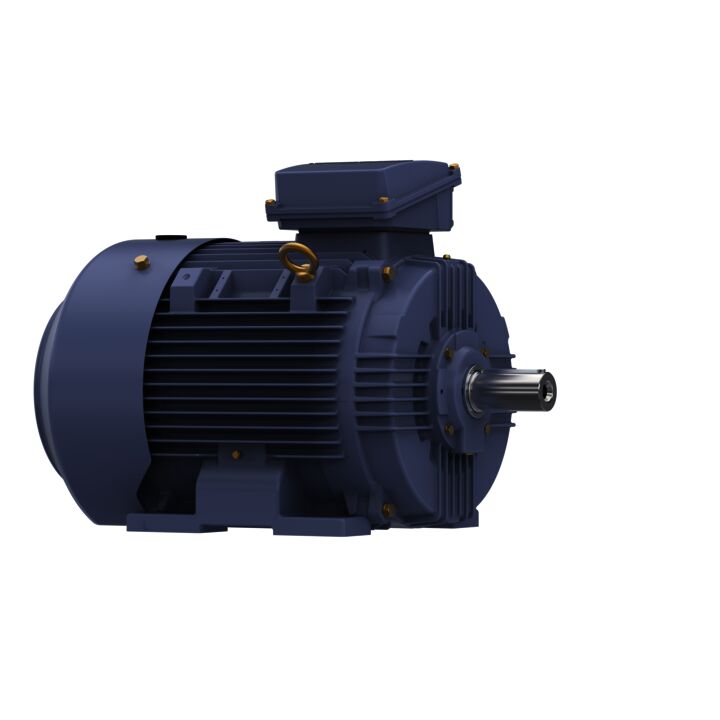 Cast Iron Motor, 40 & 30 HP, 3 Ph, 60 & 50 Hz, 230/460 & 200/400 V, 1800 & 1500 RPM, 200L Frame, TEFC