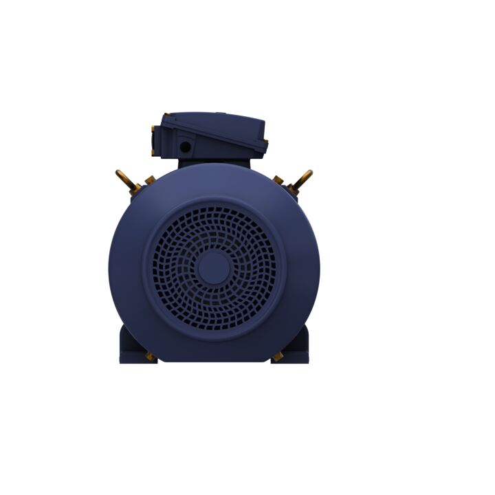 Cast Iron Motor, 40 & 30 HP, 3 Ph, 60 & 50 Hz, 230/460 & 200/400 V, 1800 & 1500 RPM, 200L Frame, TEFC