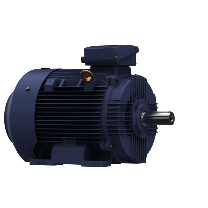 Cast Iron Motor, 60 & 50 HP, 3 Ph, 60 & 50 Hz, 230/460 & 200/400 V, 1800 & 1500 RPM, 225M Frame, TEFC