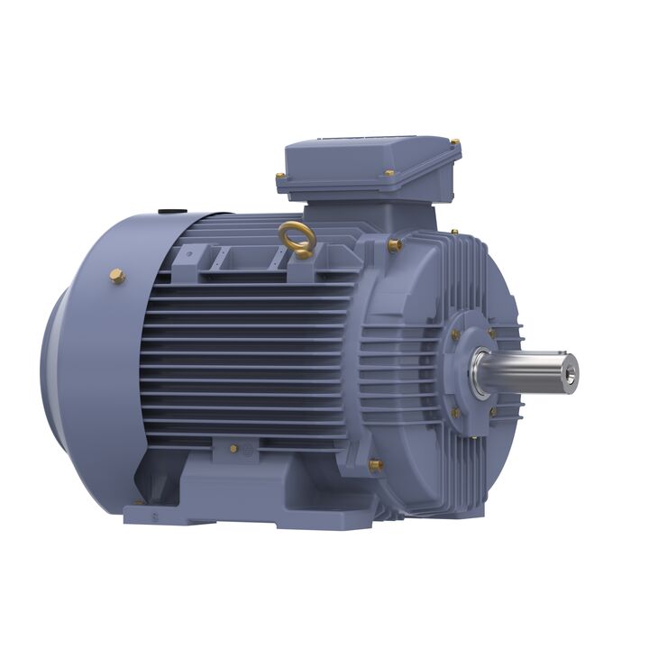 Cast Iron Motor, 50 HP, 3 Ph, 60 Hz, 575 V, 1800 RPM, 225S Frame, TEFC