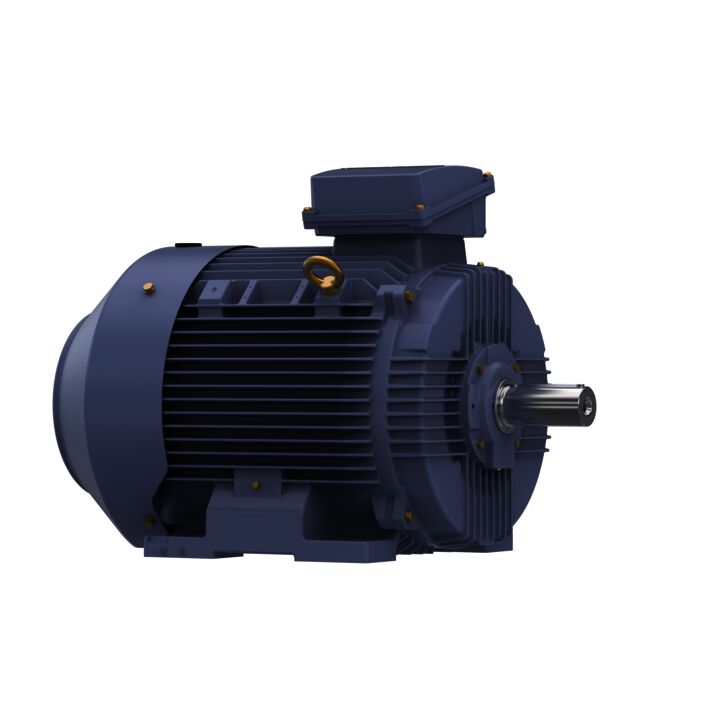 Cast Iron Motor, 75 & 60 HP, 3 Ph, 60 & 50 Hz, 230/460 & 200/400 V, 1800 & 1500 RPM, 250M Frame, TEFC