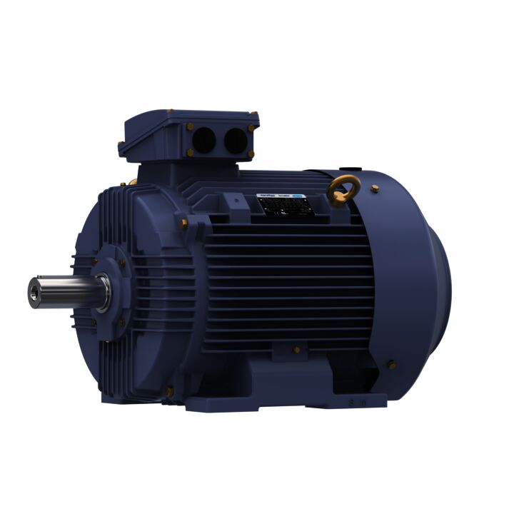 Cast Iron Motor, 60 & 50 HP, 3 Ph, 60 & 50 Hz, 230/460 & 200/400 V, 1800 & 1500 RPM, 225M Frame, TEFC