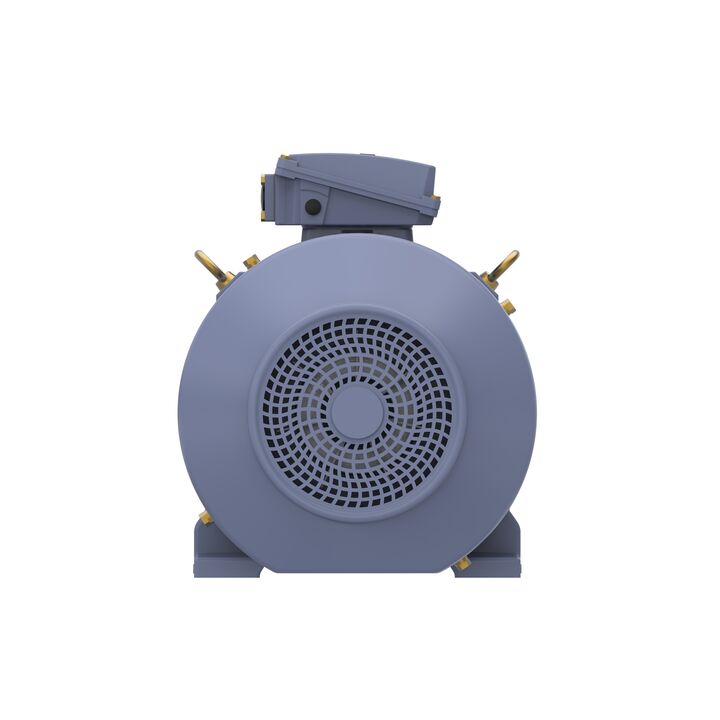 Cast Iron Motor, 50 HP, 3 Ph, 60 Hz, 575 V, 1800 RPM, 225S Frame, TEFC