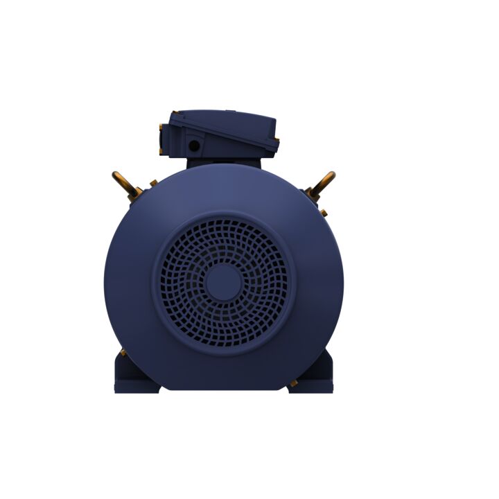 Cast Iron Motor, 60 & 50 HP, 3 Ph, 60 & 50 Hz, 230/460 & 200/400 V, 1800 & 1500 RPM, 225M Frame, TEFC