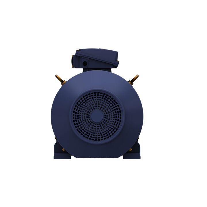 Cast Iron Motor, 75 & 60 HP, 3 Ph, 60 & 50 Hz, 230/460 & 200/400 V, 1800 & 1500 RPM, 250M Frame, TEFC