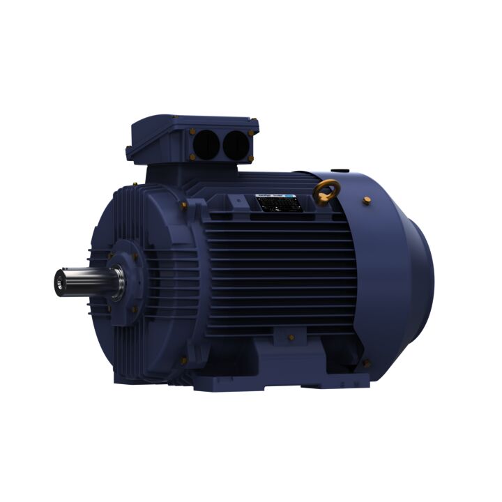 Cast Iron Motor, 75 & 60 HP, 3 Ph, 60 & 50 Hz, 230/460 & 200/400 V, 1800 & 1500 RPM, 250M Frame, TEFC