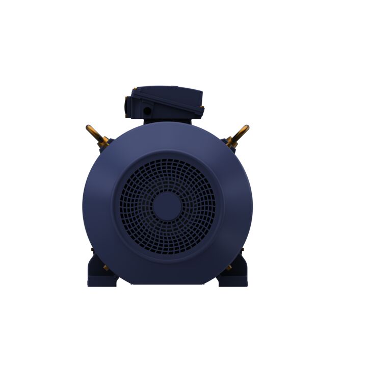 Cast Iron Motor, 100 & 75 HP, 3 Ph, 60 & 50 Hz, 230/460 & 200/400 V, 1800 & 1500 RPM, 280S Frame, TEFC