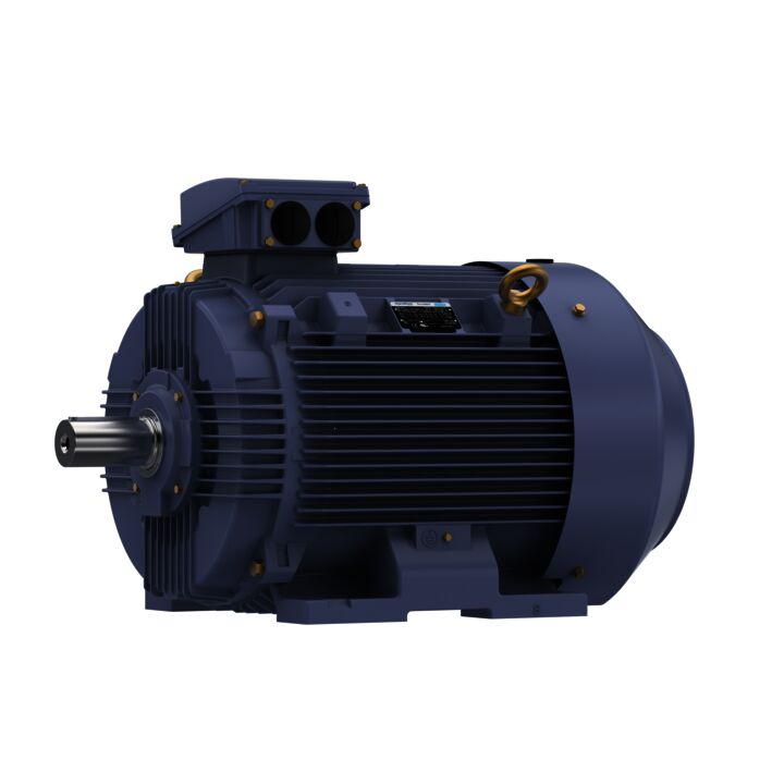 Cast Iron Motor, 100 & 75 HP, 3 Ph, 60 & 50 Hz, 230/460 & 200/400 V, 1800 & 1500 RPM, 280S Frame, TEFC