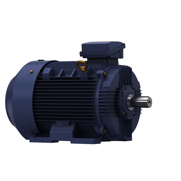 Cast Iron Motor, 100 & 75 HP, 3 Ph, 60 & 50 Hz, 230/460 & 200/400 V, 1800 & 1500 RPM, 280S Frame, TEFC