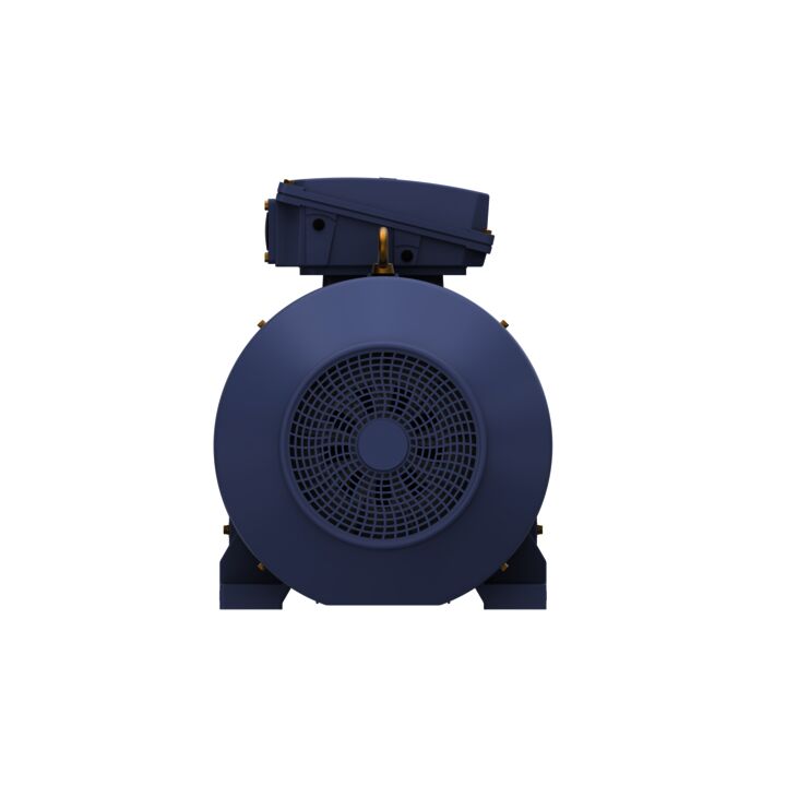 Cast Iron Motor, 100 & 75 HP, 3 Ph, 60 & 50 Hz, 230/460 & 200/400 V, 1200 & 1000 RPM, 315S Frame, TEFC