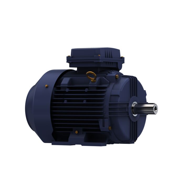 Cast Iron Motor, 10 & 7.50 HP, 3 Ph, 60 & 50 Hz, 230/460 & 200/400 V, 1800 & 1500 RPM, 132M Frame, TEFC