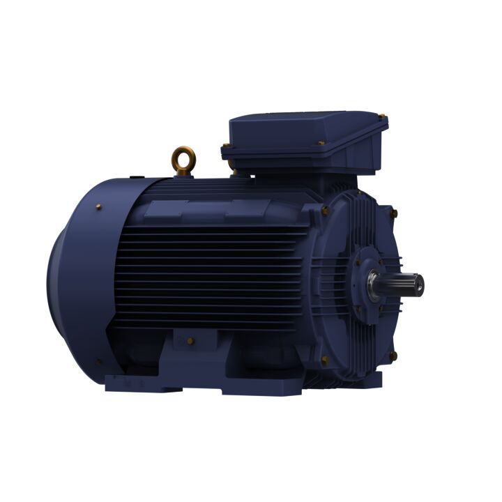 Cast Iron Motor, 100 & 75 HP, 3 Ph, 60 & 50 Hz, 230/460 & 200/400 V, 1200 & 1000 RPM, 315S Frame, TEFC