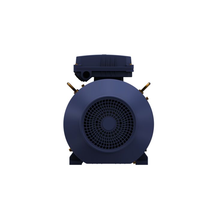 Cast Iron Motor, 10 & 7.50 HP, 3 Ph, 60 & 50 Hz, 230/460 & 200/400 V, 1800 & 1500 RPM, 132M Frame, TEFC