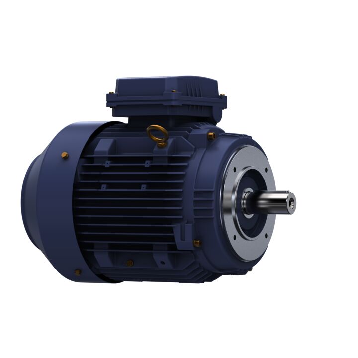 Cast Iron Motor, 10 & 7.50 HP, 3 Ph, 60 & 50 Hz, 230/460 & 200/400 V, 1800 & 1500 RPM, 132M Frame, TEFC