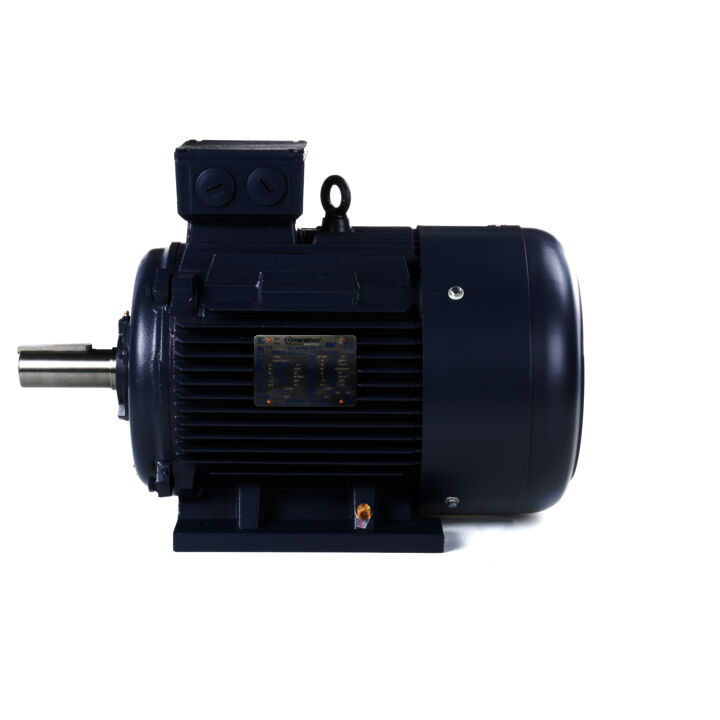 Cast Iron Motor, 30 & 25 HP, 3 Ph, 60 & 50 Hz, 230/460 & 200/400 V, 3600 & 3000 RPM, 180M Frame, TEFC