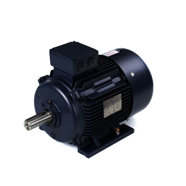 Cast Iron Motor, 30 & 25 HP, 3 Ph, 60 & 50 Hz, 230/460 & 200/400 V, 3600 & 3000 RPM, 180M Frame, TEFC